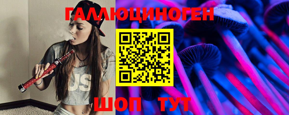 Галлюциногенные грибы Psilocybe Биробиджан